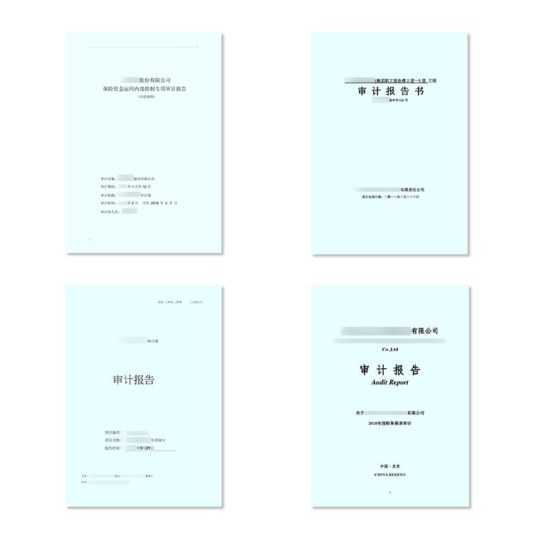 年度審計(jì)代辦恒標(biāo)代辦研發(fā)費(fèi)用補(bǔ)貼加計(jì)扣除