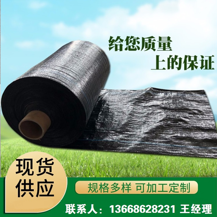 ɫݲppݵزr(nng)wݲڲֲݲ⾀