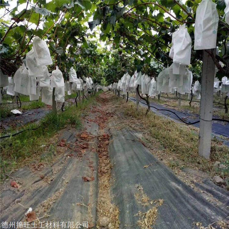 \و@ݲӹSppݲ@ˇزݲ@