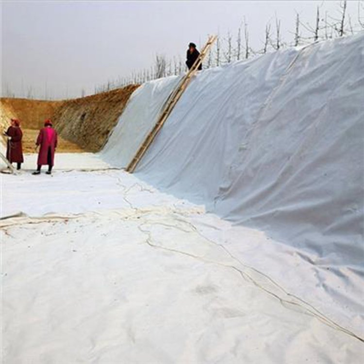 ˹BĤɲһĤF(xin)؛ͺĤ