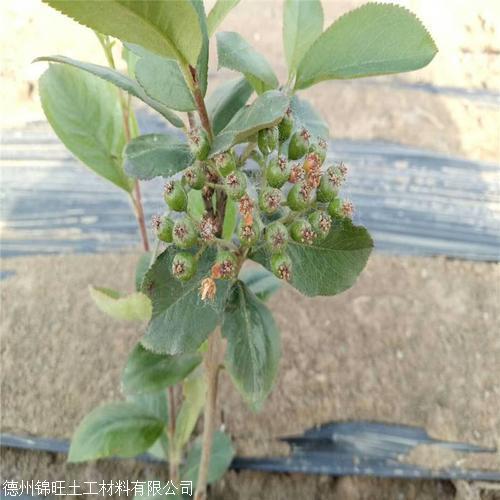 |(yu)rݲr@÷ݲ؛Sҵ\ݲa