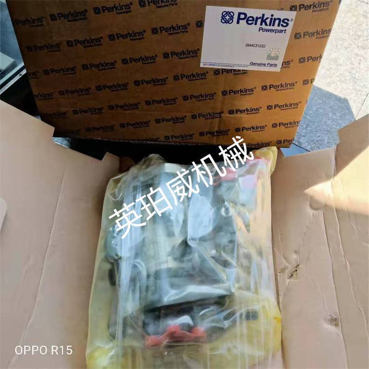 Perkins廠家柴油泵2644C312\/24進(jìn)口服務(wù)質(zhì)量
