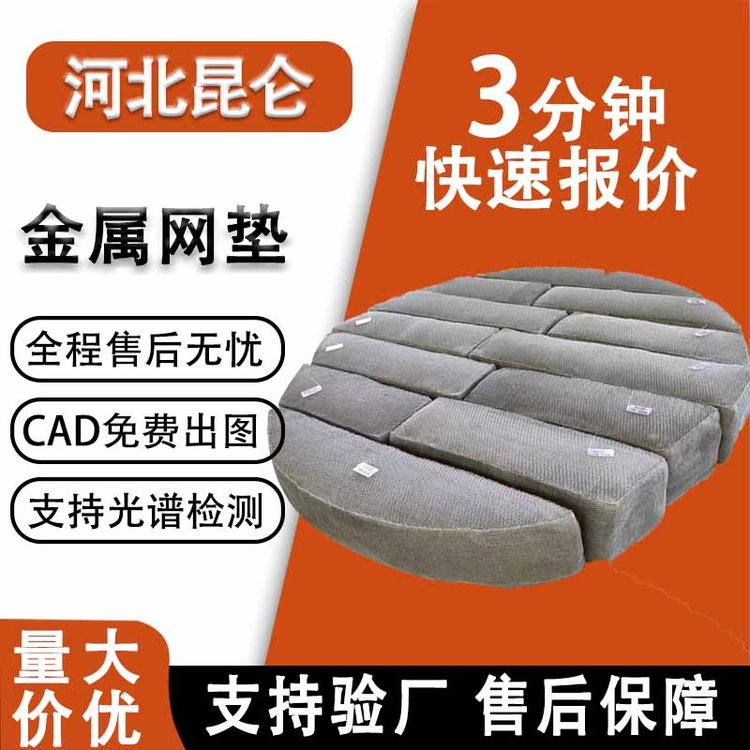 昆侖金屬絲網(wǎng)除沫器除霧氣液分離除沫聚丙烯網(wǎng)墊PP鈦TA2定制