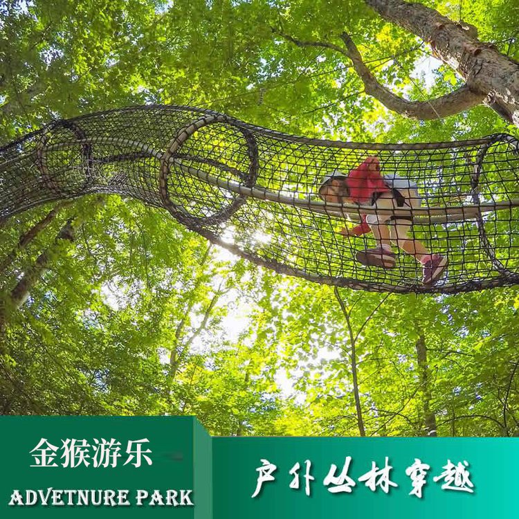 景區(qū)叢林穿越設備索道纜車太空穿梭金猴戶外游樂設備網(wǎng)紅項目