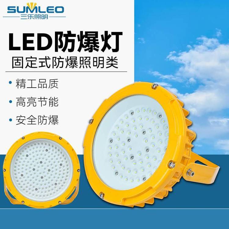 LED防爆燈工地應(yīng)急照明燈倉(cāng)庫(kù)照明燈廠房投光燈