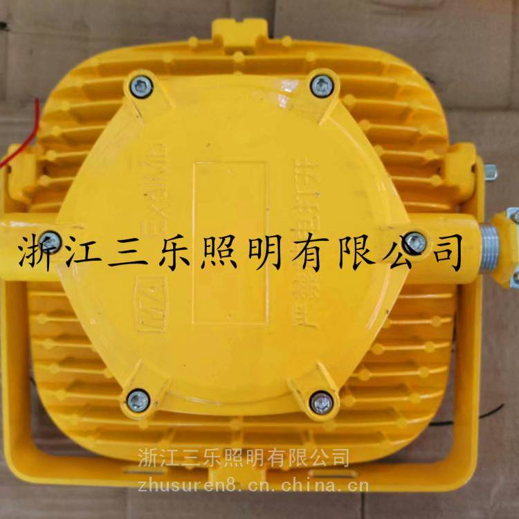 DGS80\/127L(A)礦用隔爆型LED巷道燈DGS80\/127L(C)