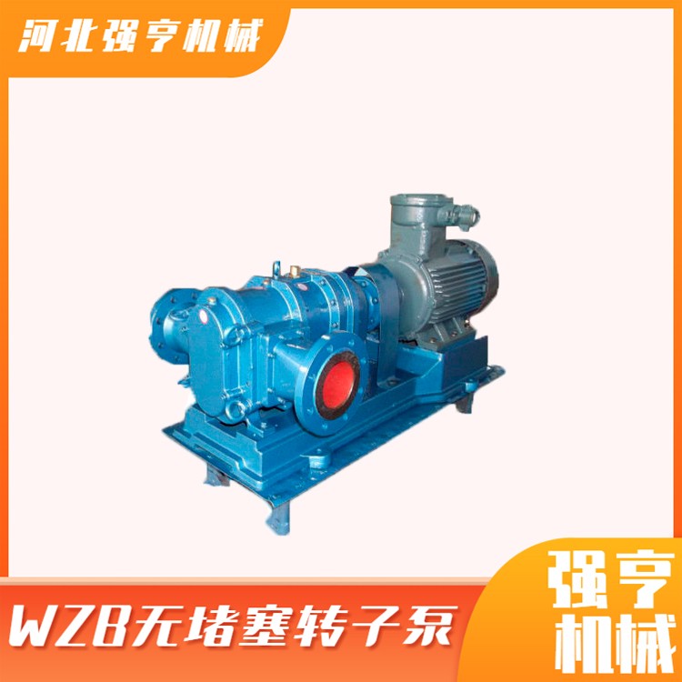 無堵塞轉(zhuǎn)子泵高自吸高揚程大流量容積式排污泵