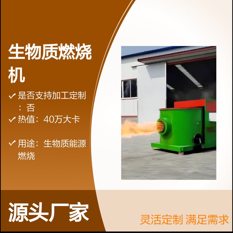 40萬(wàn)大卡生物質(zhì)燃燒機(jī)環(huán)保設(shè)備節(jié)約成本