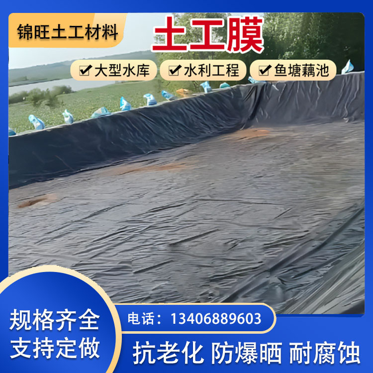 B(yng)ֳBĤShdpeĤܶȾϩĤ\