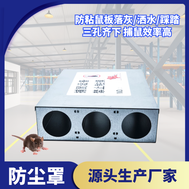 ճm֌W(xu)УSo(h)׷mNo(h)